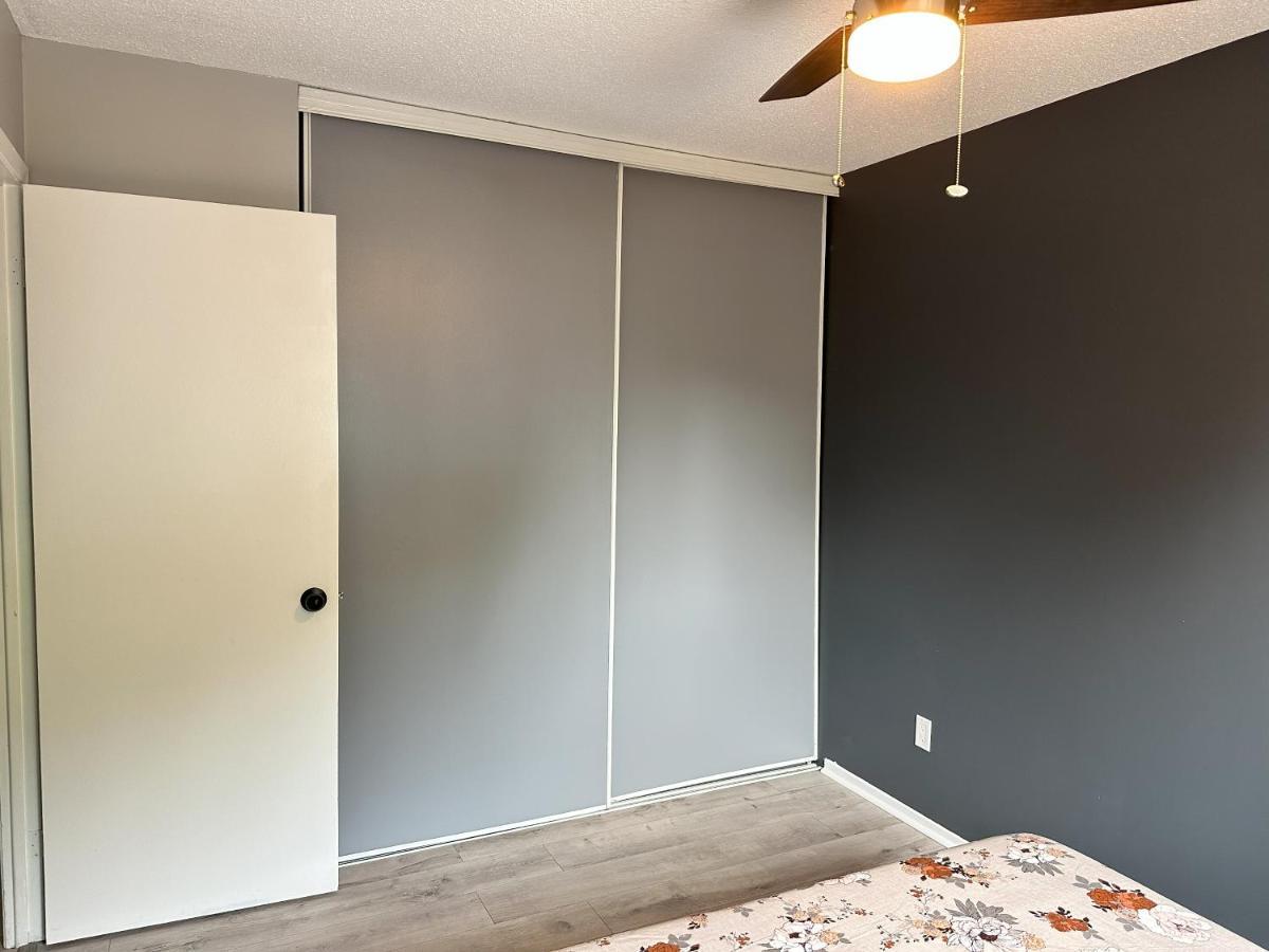Castlerooms Homestay オタワ エクステリア 写真