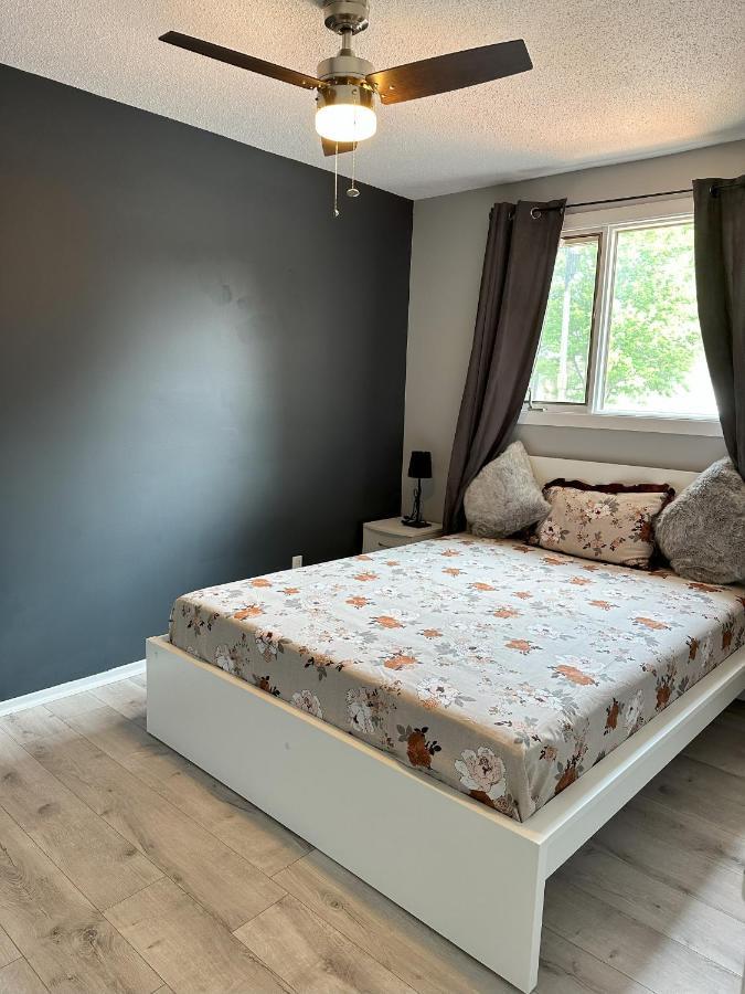 Castlerooms Homestay オタワ エクステリア 写真