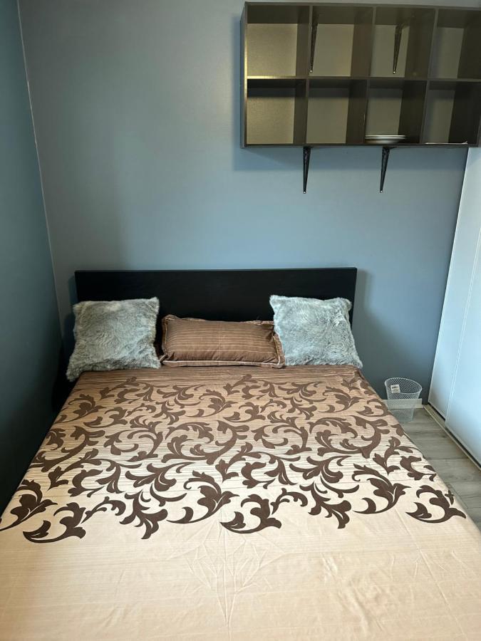 Castlerooms Homestay オタワ エクステリア 写真